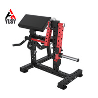 Machine de musculation des épaules à charge libre pour usage commercial, en acier, design pliable