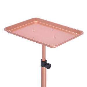 Carrito Móvil <span class=keywords><strong>de</strong></span> Aluminio Resistente para Salón y Taller con Diseño <span class=keywords><strong>de</strong></span> 5 Ruedas - Organizador Multiusos para Salones, Spas y Tiendas <span class=keywords><strong>de</strong></span> Tatuajes - Product Image 4