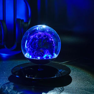 ורד נצחי מרחף על ידי ריחוף מגנטי, קישוט פרחוני זוהר ומעודן לחתונה או ליום האהבה. - Product Image 5