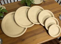 Assiettes jetables en fibre de coque de riz compostables, biodégradables, certifiées BPI, sans BPA, sans PFAS, écologiques, de 6, 7, 8, 9 et 10 pouces