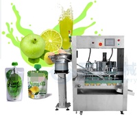 Multifunctionele Automatische Standaard Tuit Zakje Gember Citroen Vruchtensap Vul-En Afdekmachine