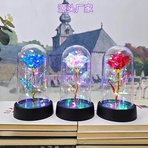 Fleur artificielle <span class=keywords><strong>en</strong></span> <span class=keywords><strong>verre</strong></span> avec <span class=keywords><strong>rose</strong></span> éternelle <span class=keywords><strong>et</strong></span> lumière LED pour femmes, <span class=keywords><strong>rose</strong></span> de <span class=keywords><strong>la</strong></span> <span class=keywords><strong>Belle</strong></span> <span class=keywords><strong>et</strong></span> <span class=keywords><strong>la</strong></span> Bête, cadeaux d'anniversaire pour filles, Noël - Product Image 2