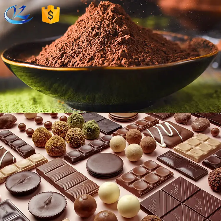 Poudre de cacao traitée néerlandaise de poudre de cacao de prix usine alcalisée 10%-12% alcalinisent la poudre de cacao 25kg