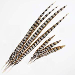 Plumas de cola de faisán Reeves natural, <span class=keywords><strong>10</strong></span>-160cm, venta al por mayor - Product Image 1