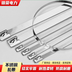 Attaches de câble en acier inoxydable 304 Jinrong Power 4.6x100 4.6x150 4.6x200 4.6x300, auto-bloquantes, résistantes à la corrosion, pour fixation de câbles - Product Image 2