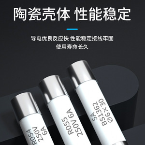 R054 R055 ฟิวส์แบบตลับ 250V 6A 5A BS1362 6x30 มม. หลอดฟิวส์แรงดันต่ำ - Product Image 2