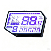 Pantalla LCD Monocromática Cuadrada o Redonda Personalizada con Modo de Visualización TN, STN, HTN, FSTN, Fábrica de Pantallas LCD Gráficas