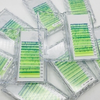 Extensions de cils individuelles professionnelles, brun foncé et multicolores arc-en-ciel, cils colorés à marque privée