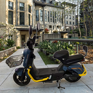 Bicicleta Eléctrica Urbana de Alta Calidad con Motor sin Escobillas de 350W 48V, Ligera, con Pantalla Digital de 3 Velocidades y Batería de Plomo-Ácido - Product Image 1