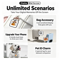 Flyances Fabricant Grossiste Porte-clés intelligent NFC couleur E Ink, Écran couleur E Ink, Étiquette numérique pour sac avec affichage photo et nom, Breloque OEM