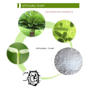 Venta directa de fábrica de fertilizante <span class=keywords><strong>Urea</strong></span> 46% con gránulos pequeños y grandes a bajo <span class=keywords><strong>precio</strong></span> <span class=keywords><strong>para</strong></span> trigo, arroz y maíz - Product Image 3