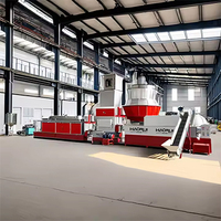 Machine d'automatisation de granulation plastique pour PET PE HDPE LDPE PP PS granulateur plastique et machine de recyclage de granules