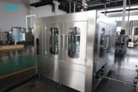 Usine de production complète de jus de fruits naturels avec machine de remplissage à chaud pour bouteilles PET