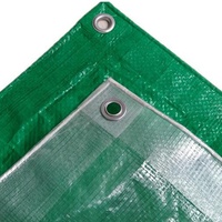 Bâche en PVC PE transparente 100% poly bâche avec traitement UV pour la plantation agricole en serre