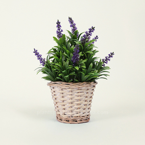 Vente en gros de plantes artificielles pot tissé buis arbustes verdure ciboulette lavande <span class=keywords><strong>romarin</strong></span> bonsaï pour table maison intérieur centre commercial décoration - Product Image 3