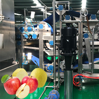 Automatische Productielijn Voor Appelperenpuree Voor Fruitjam