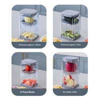 Frietjes-snijder, radijs- en komkommer-snijder, huishoudelijke ABS-materiaal, multifunctionele groentesnijder, gemaakt in Taizhou