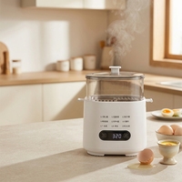 Mini Cuiseur à Œufs Électrique et Cuiseur Vapeur Alimentaire avec Minuteur et Réservation, Bol en Acier Inoxydable, Support à Œufs, Appareil de Cuisson pour le Petit-Déjeuner à Domicile