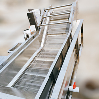 SUS304 Luchtbelletjes fruitwasmachine, industriële reiniger voor aardbeien, bosbessen & kersen