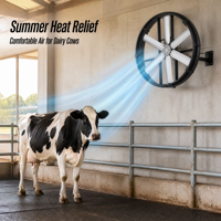 Ventilateur de circulation mural à économie d'énergie pour grange, avec pales en acier inoxydable, pour le refroidissement des abris à bétail