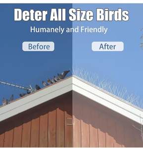 Qiao Liang Hot Sale Hek Anti Vogel Doorn Voor Duiven Kleine Vogels Basis 304 Roestvrij Staal Vogel Spikes - Product Image 5