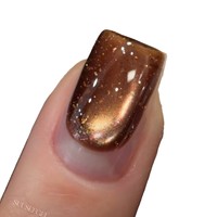 Nouveau Kit de Gel Effet Œil de Chat Doré Marron Velours Scintillant 10 Couleurs avec Poudre Fine Magnétique et Perles de Verre pour Ongles DIY Designer Automne Hiver