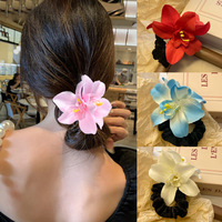 Accessoires capillaires élastiques légers et colorés de haute qualité pour femmes, parfaits pour les mariages, les fêtes, les vacances et les queues de cheval