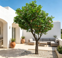 Grand arbre artificiel naturel unique pour décoration intérieure, grand ficus artificiel en forme d'arche, arbre banian vert, plantes durables en fibre de verre