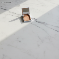 Palette de maquillage carrée en plastique magnétique plaqué or pour blush et contouring, avec miroir, emballage en matériaux recyclés, logo personnalisé, crème pour les yeux