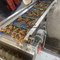 Machine de séchage à bande continue pour tranches de gingembre, ligne de production de nettoyage, découpe et séchage du gingembre, déshydrateur de gingembre