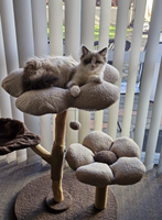 Arbre à chat MoMo Paw de luxe, grand, classique, écologique, en peluche douce, avec griffoir en sisal et perchoir doux, pour chats d'intérieur