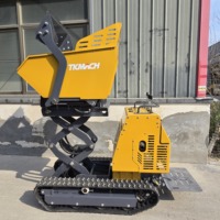 Mini-chargeuse sur chenilles avec benne basculante, pompe hydraulique, moteur diesel Briggs & Stratton, capacité 880 kg, benne 450 kg, fabrication chinoise de haute qualité