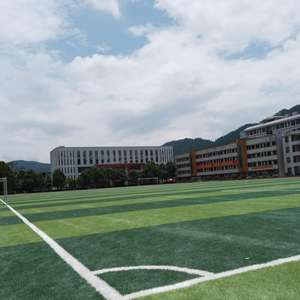 Proveedor Futsal Césped sintético Césped de fútbol artificial <span class=keywords><strong>5</strong></span> A Campo de fútbol lateral Artificial - Product Image 1