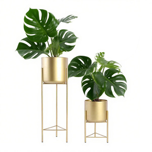 Support <span class=keywords><strong>de</strong></span> plante enduit <span class=keywords><strong>de</strong></span> poudre <span class=keywords><strong>de</strong></span> fer <span class=keywords><strong>de</strong></span> <span class=keywords><strong>couleur</strong></span> personnalisée à la mode 2 pièces décor <span class=keywords><strong>de</strong></span> maison et <span class=keywords><strong>de</strong></span> <span class=keywords><strong>jardin</strong></span> polyvalent améliore le <span class=keywords><strong>salon</strong></span> intérieur - Product Image 3