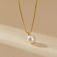 Collier pendentif capsule en argent sterling S925, perle d'eau douce naturelle, style automne-hiver, design luxueux hypoallergénique