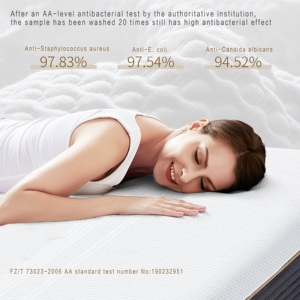 AIDI 9 zonas cama utilizada en hoteles de alto grado de látex natural rey tamaño colchón de uratex Matratze Kidoro kutson - Product Image 3