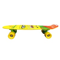 Planche à roulettes Cruiser de 21 pouces, fabrication directe d'usine, planche complète vierge pour enfants et adultes, en aluminium, érable, plastique PP, planche à roulettes de type fish, styles variés