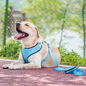 Set Sei Pezzi per Cani <span class=keywords><strong>2026</strong></span>: Guinzaglio, Pettorina, Cinturino, Fiocco, Sacchetto per Rifiuti Estensibile Stampato, Foulard Quadrato e Collare - Vendita Diretta dalla Fabbrica - Product Image 5