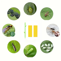 Piège à bande longue, piège collant résistant aux UV, imperméable, jetable, écologique, non toxique, plaque de colle pour plantes d'intérieur, balcon
