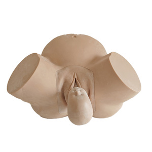 Modèle de bassin féminin Medica Science pour l'enseignement et la formation en sage-femme, simulateur d'accouchement anormal - Product Image 2