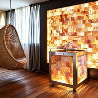 Armoire en acier inoxydable avec cubes de sel de l'Himalaya éclairés par LED, écologique, pour l'halothérapie en spa et la décoration intérieure