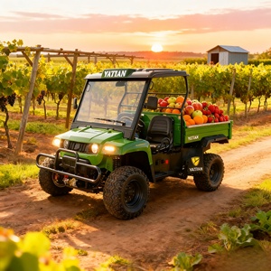 UTV <span class=keywords><strong>électrique</strong></span> <span class=keywords><strong>4x4</strong></span> certifié E-mark |   Camion <span class=keywords><strong>utilitaire</strong></span> agricole <span class=keywords><strong>électrique</strong></span> personnalisable pour l'agriculture européenne - Product Image 1