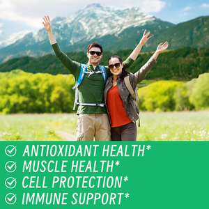 Complément alimentaire en gommes de feuilles de Moringa bio à marque privée, sans sucre, pour la perte de poids, stimulant le métabolisme et l'énergie, Moringa Gu - Product Image 2