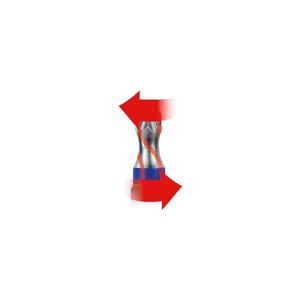 KS เครื่องมือ1/4 "torsionpower bit BOX, 32ชิ้น - Product Image 2