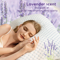Oreiller rafraîchissant double face en bambou, mousse à mémoire de forme à la lavande, hauteur réglable, hypoallergénique pour hôtel, maison, vente en gros, OEM