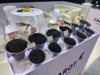 Granulés de masterbatch plastique PE HDPE LLDPE noirs, prix usine, film plastique recyclé, masterbatch plastique noir