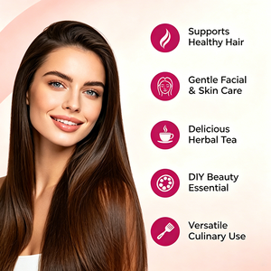 Polvo de Flor de Hibisco Puro OEM ODM, Antioxidante, Sin OMG, Vegano, Sin Lácteos, Apto para Keto, para Té y Cuidado de la Piel, Suministro a Granel - Product Image 3