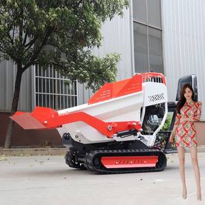 Mini Crawler Dumper 0,8 Ton Crawler Dumper China Tracked Dumper con grúa - Product Image 1