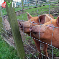 Fil de clôture agricole, fil de fer pour porcs, poteaux de clôture pour terres agricoles, panneaux de clôture agricole galvanisés