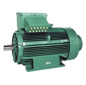Motor de Inducción Trifásico <span class=keywords><strong>Leroy</strong></span> Somer de 100 HP, 75 KW, 380 V, 50/60 Hz, 1500 rpm, IE2, IE3, IE4, Protección IP55, <span class=keywords><strong>Aislamiento</strong></span> F, PT100 - Product Image 5